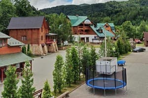 Сатори 1