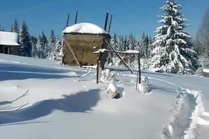 Коттедж Семейный