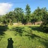 Сердце Карпат 16-17/21