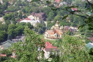 Шафран 5