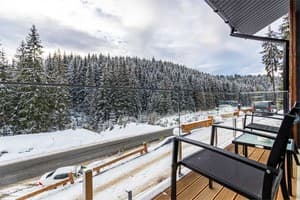 Отель Шишка. Делюкс двухместный с балконом 3