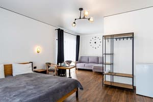 Отель Шишка. Комфорт двухместный  1