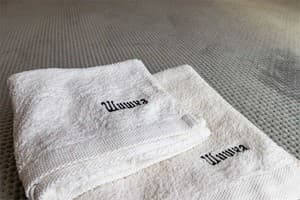 Отель Шишка. Семейный двухместный  5