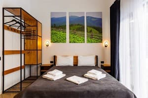 Отель Шишка. Стандарт двухместный  1