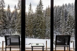 Отель Шишка. Стандарт двухместный  8