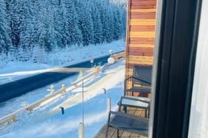 Отель Шишка. Стандарт трехместный Премиум 14