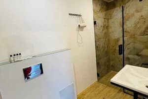 Отель Шишка. Стандарт трехместный Премиум 11