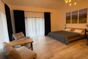 Отель Шишка. Стандарт трехместный Премиум 3