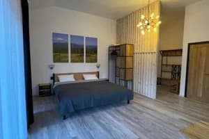 Отель Шишка. Стандарт трехместный Премиум 4