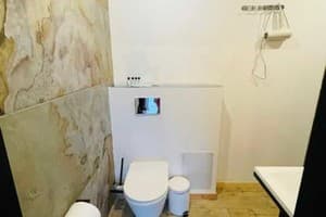 Отель Шишка. Стандарт трехместный Премиум 13