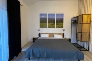 Отель Шишка. Стандарт трехместный Премиум 1