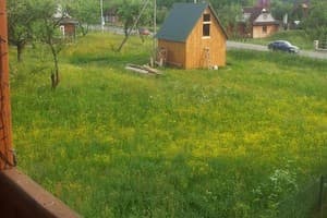 Шовкова косиця 1