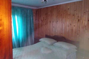 Шовкова косиця 8