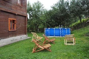 Сила природы 1