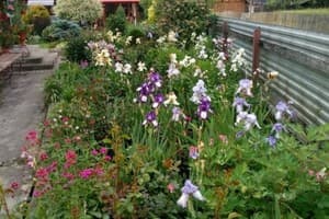 Сімейна хатинка 1