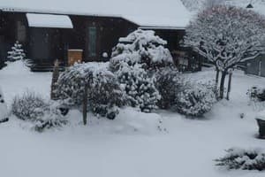 Сімейна хатинка 10