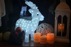 Синевирский перевал 5