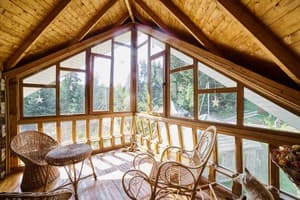 Сказка леса 7