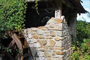 Сказка леса 15