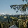 Skogur Home & Resort 18