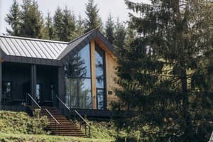 Гостинично-ресторанный комплекс Skogur Home & Resort. Коттедж 4-местный (4+2) Твин-хаус,№ 01А, 01Б, 02АБ, 17А. 3