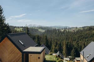 Гостинично-ресторанный комплекс Skogur Home & Resort. Коттедж 4-местный (4+2) две спальни № 11;14;;20 2