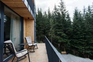 Гостинично-ресторанный комплекс Skogur Home & Resort. Коттедж 4-местный (4+2) две спальни № 11;14;;20 8