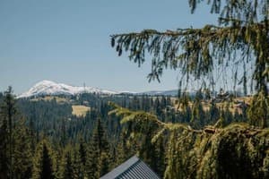 Гостинично-ресторанный комплекс Skogur Home & Resort. Коттедж 6-местный (6+2) три спальни № 7, 10, 12, сруб№23 4