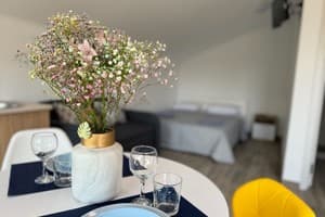 Апарт-отель SoNa