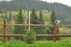 Соколиное гнездо 7