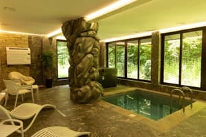 Санаторий Solva Resort Medical & SPA. Будиночок з сауною 11