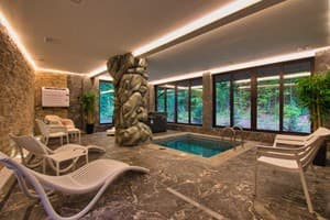 Санаторий Solva Resort Medical & SPA. Будиночок з сауною 11