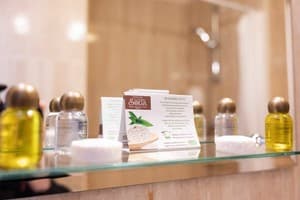 Отель Solva Resort Medical & SPA. Стандарт двухместный  6