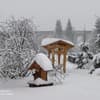 Соннее царство 10-11/22