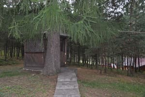 Сосновый Двор 9