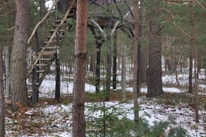 Сосновый Двор 15