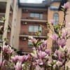 Срібний Водограй 12-13/49