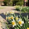 Срібний Водограй 13-14/49