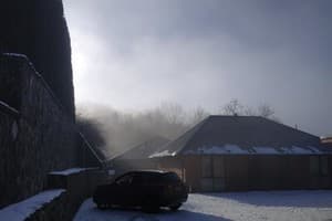 Старый дуб 8