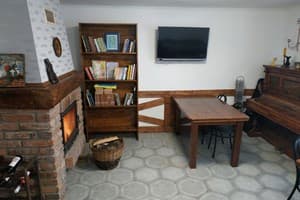 Старый дуб 10