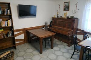 Старый дуб 9