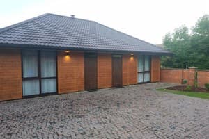 Старый дуб 2