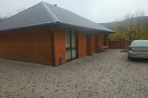 Старый дуб 5