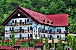 Отель Ступарь