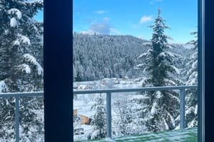 Коттедж Svoboda Smart Hotel. Коттедж двухместный  13