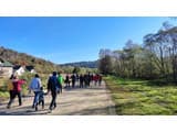 TAOR Karpaty Resort & Spa 6