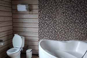 Санаторий TAOR Karpaty Resort & Spa. Коттедж 6-местный семейный (большой) 6