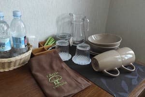 Санаторий TAOR Karpaty Resort & Spa. Стандарт двухместный 3