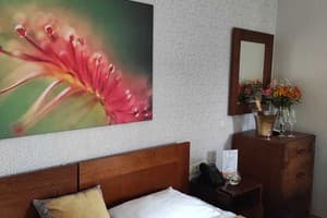 Санаторий TAOR Karpaty Resort & Spa. Улучшенный двухместный  3