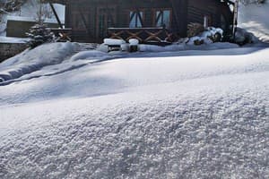 Терношорська Лада 16